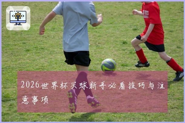2026世界杯买球新手必看技巧与注意事项