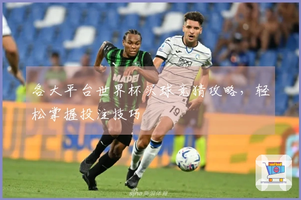 各大平台世界杯买球竞猜攻略，轻松掌握投注技巧