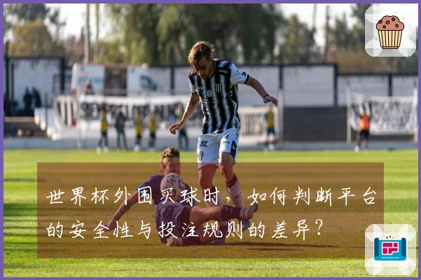 世界杯外围买球时，如何判断平台的安全性与投注规则的差异？