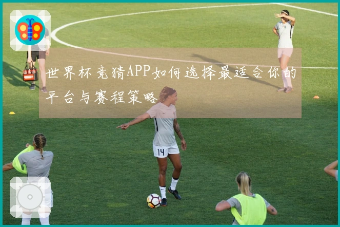 世界杯竞猜APP如何选择最适合你的平台与赛程策略
