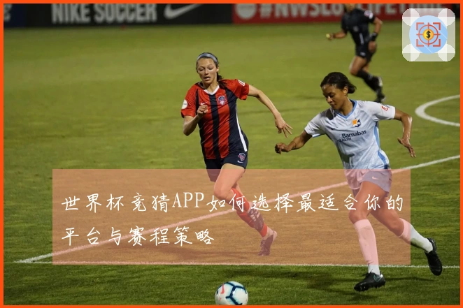 世界杯竞猜APP如何选择最适合你的平台与赛程策略