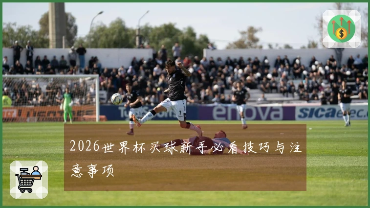 2026世界杯买球新手必看技巧与注意事项