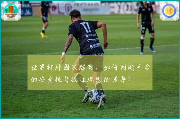 世界杯外围买球时，如何判断平台的安全性与投注规则的差异？