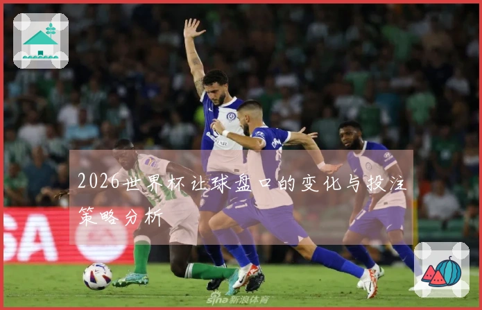 2026世界杯让球盘口的变化与投注策略分析