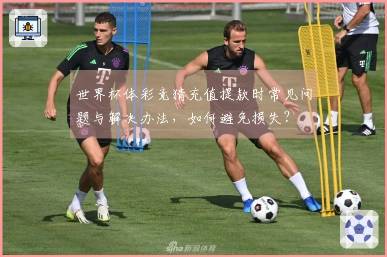世界杯体彩竞猜充值提款时常见问题与解决办法，如何避免损失？