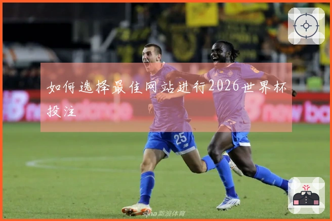 如何选择最佳网站进行2026世界杯投注